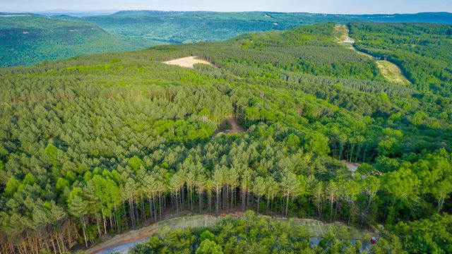 0 Cannon Way Lot 1317, Guild, TN 37340