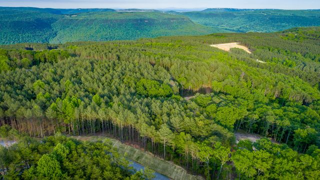 0 Cannon Way Lot 1317, Guild, TN 37340