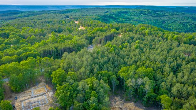 0 Cannon Way Lot 1317, Guild, TN 37340