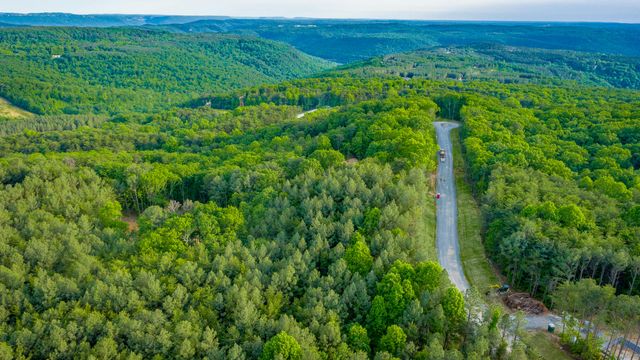 0 Cannon Way Lot 1317, Guild, TN 37340