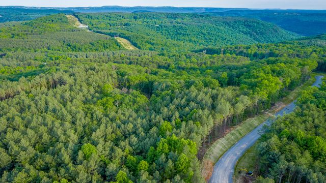 0 Cannon Way Lot 1317, Guild, TN 37340