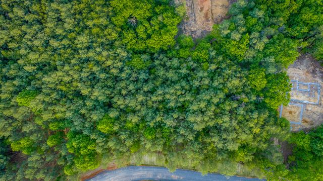 0 Cannon Way Lot 1317, Guild, TN 37340