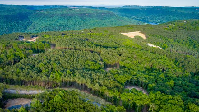 0 Cannon Way Lot 1317, Guild, TN 37340