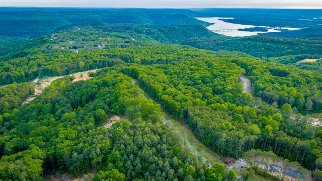 0 Cannon Way Lot 1317, Guild, TN 37340
