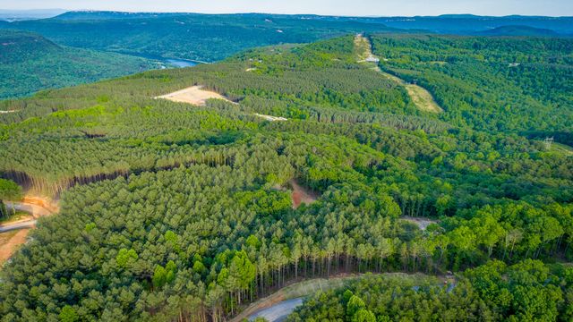 0 Cannon Way Lot 1317, Guild, TN 37340