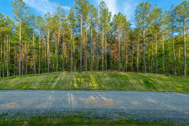 0 Cannon Way Lot 1317, Guild, TN 37340