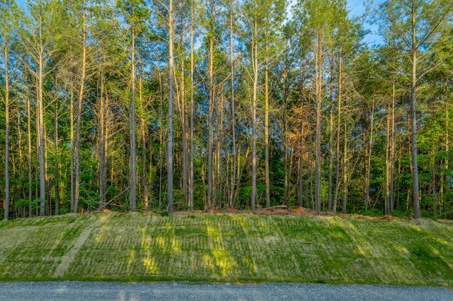 0 Cannon Way Lot 1317, Guild, TN 37340