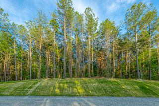 0 Cannon Way Lot 1317, Guild, TN 37340