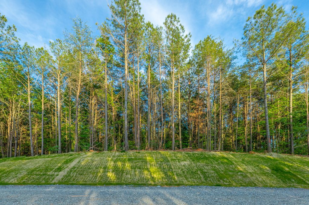 0 Cannon Way Lot 1317, Guild, TN 37340