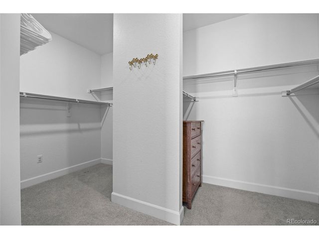 3807 Descent St, Castle Rock, CO 80108