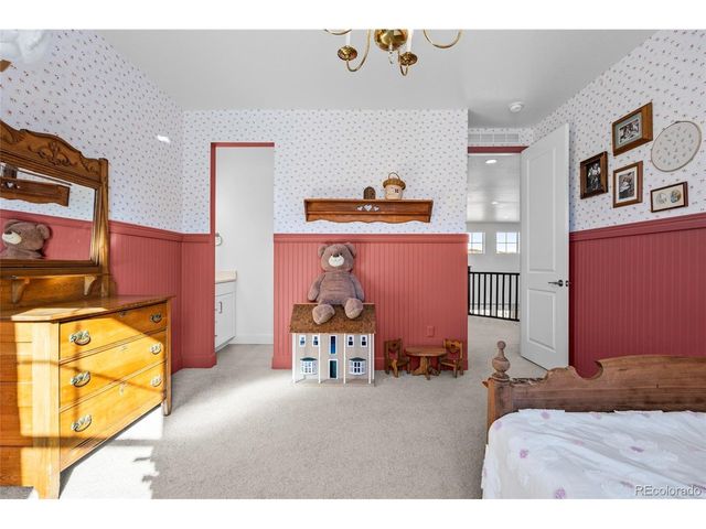 3807 Descent St, Castle Rock, CO 80108