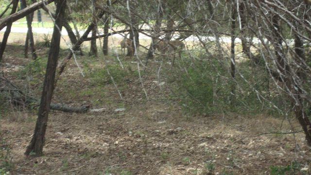4094 Outpost TRCE, Lago Vista, TX 78645