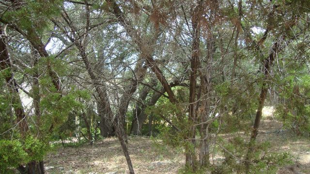 4094 Outpost TRCE, Lago Vista, TX 78645