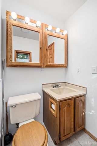 3193 Old M94 Road, Chatham, MI 49816