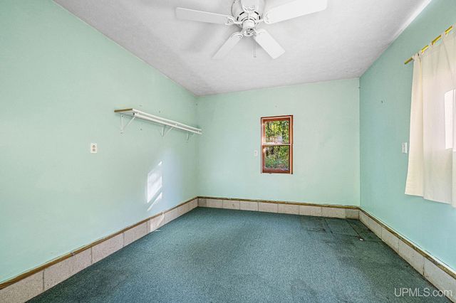 3193 Old M94 Road, Chatham, MI 49816