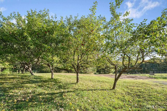 3193 Old M94 Road, Chatham, MI 49816