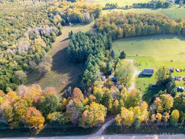 3193 Old M94 Road, Chatham, MI 49816