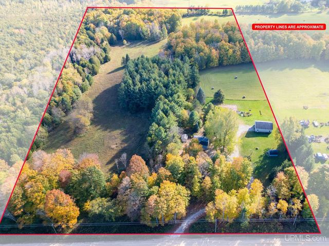 3193 Old M94 Road, Chatham, MI 49816