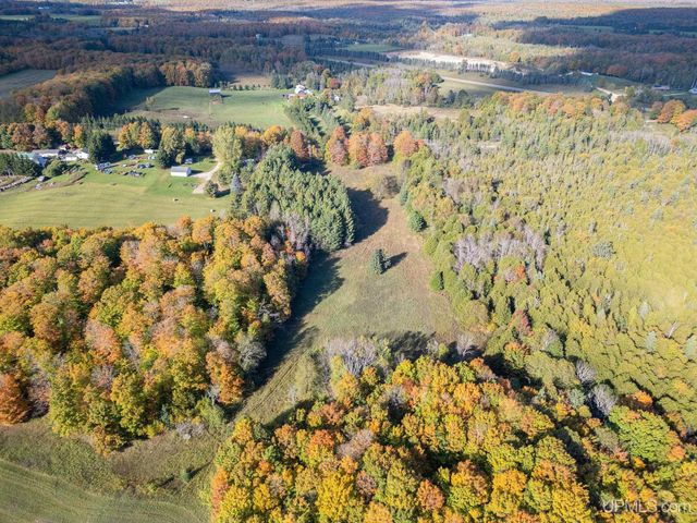 3193 Old M94 Road, Chatham, MI 49816