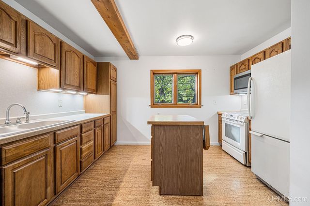 3193 Old M94 Road, Chatham, MI 49816