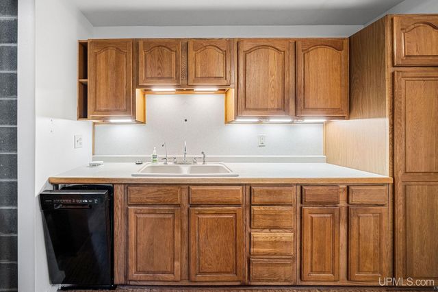 3193 Old M94 Road, Chatham, MI 49816