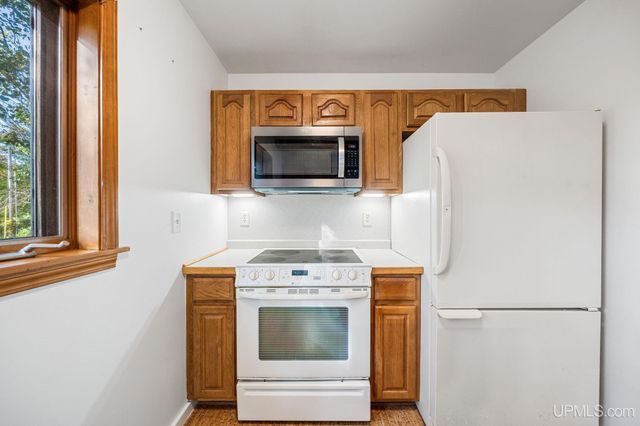 3193 Old M94 Road, Chatham, MI 49816