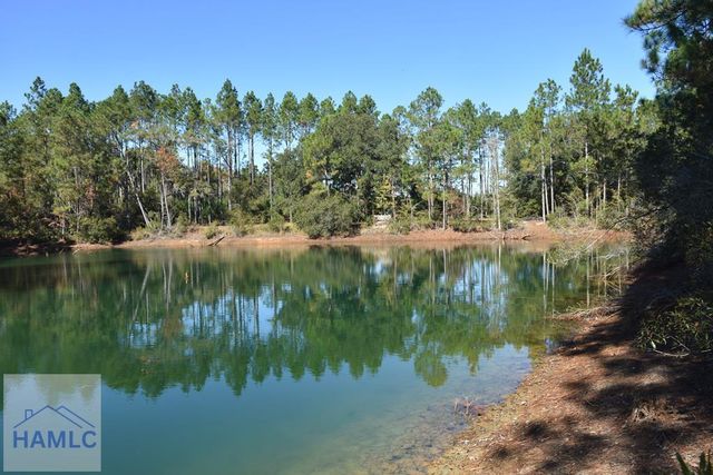 000 Barrett Cemetery Road NE, Ludowici, GA 31316