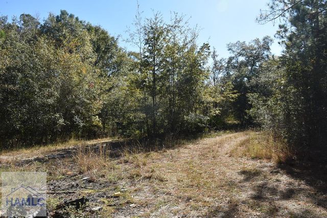 000 Barrett Cemetery Road NE, Ludowici, GA 31316