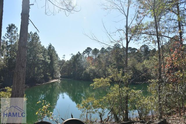 000 Barrett Cemetery Road NE, Ludowici, GA 31316