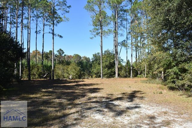 000 Barrett Cemetery Road NE, Ludowici, GA 31316