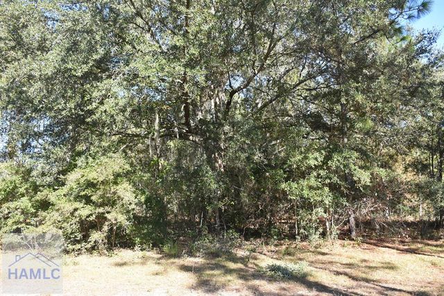 000 Barrett Cemetery Road NE, Ludowici, GA 31316