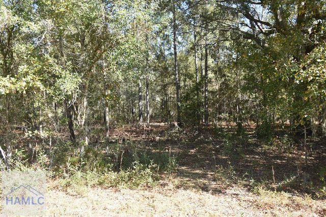 000 Barrett Cemetery Road NE, Ludowici, GA 31316