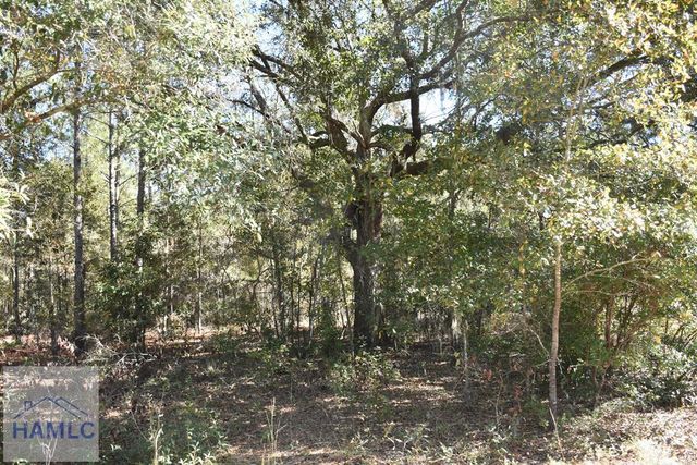 000 Barrett Cemetery Road NE, Ludowici, GA 31316