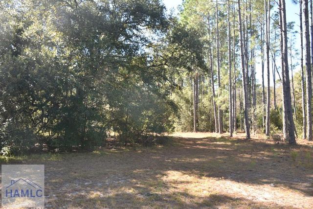 000 Barrett Cemetery Road NE, Ludowici, GA 31316