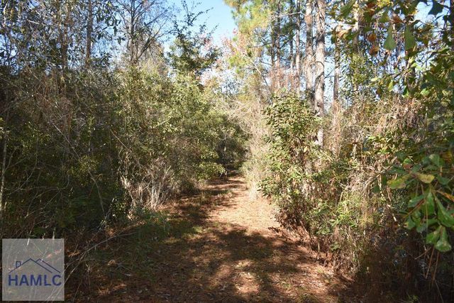 000 Barrett Cemetery Road NE, Ludowici, GA 31316