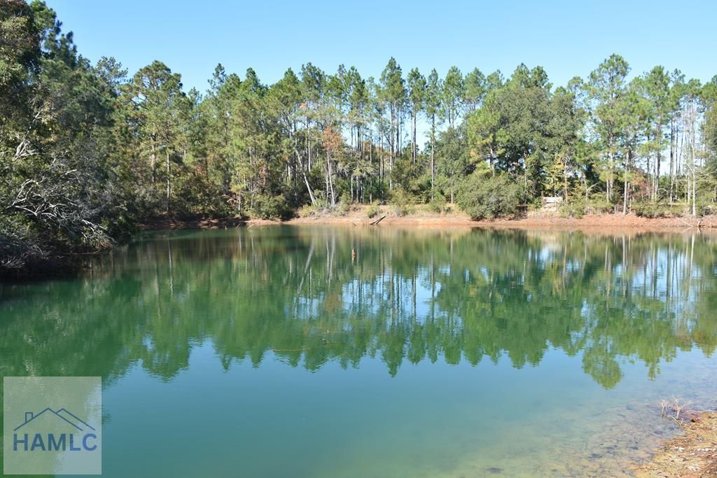 000 Barrett Cemetery Road NE, Ludowici, GA 31316