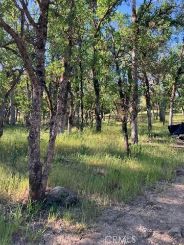 16053 13th, Clearlake, CA 95422