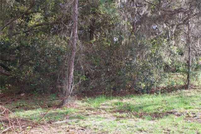 SILENT RIDGE DRIVE 47, Tavares, FL 32778