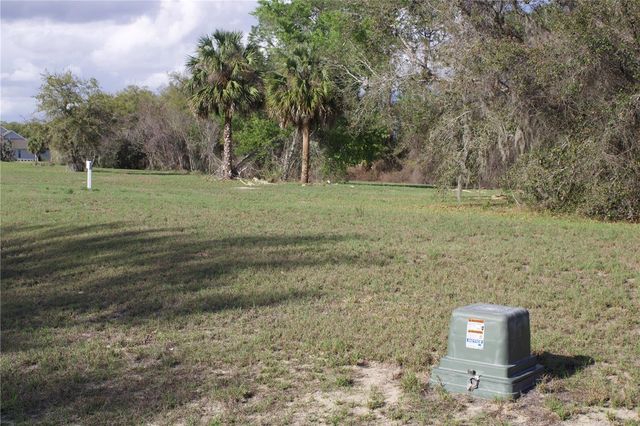 SILENT RIDGE DRIVE 47, Tavares, FL 32778