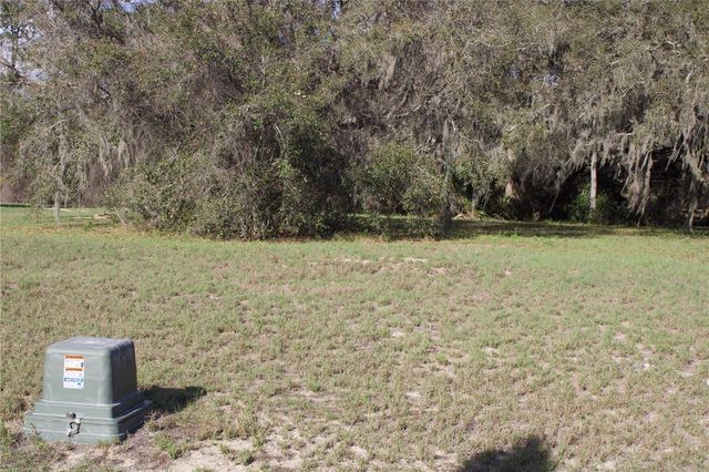 SILENT RIDGE DRIVE 47, Tavares, FL 32778