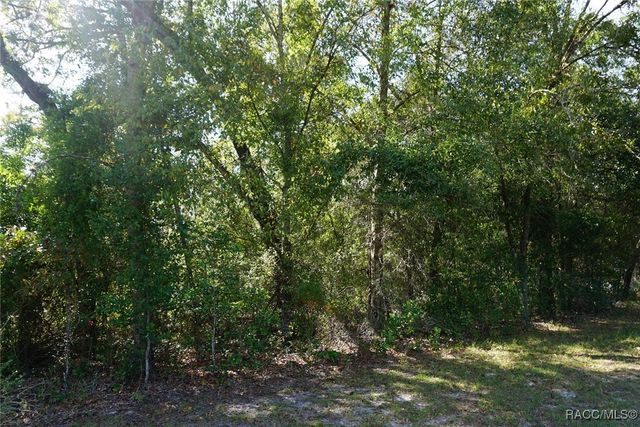 2169 W Rutland Drive, Citrus Springs, FL 34434