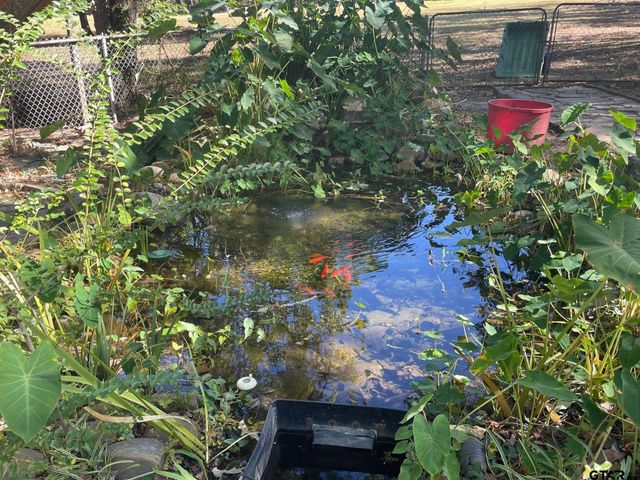 1203 CR 1127, Daingerfield, TX 75638