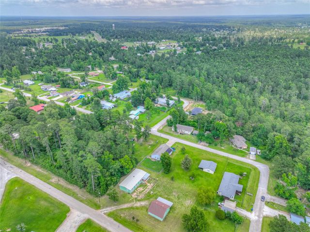 203 S Canyon Drive, Onalaska, TX 77360