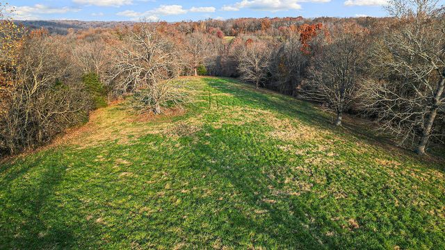 171 Togi Hill Road, Noel, MO 64854