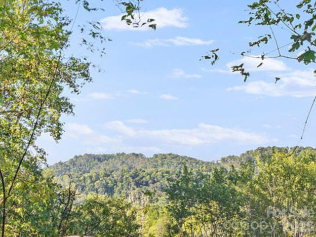 39 Spooks Branch Extension, Asheville, NC 28804