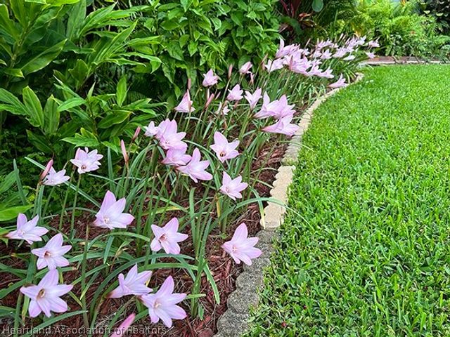 603 Lake Blue Drive, Lake Placid, FL 33852