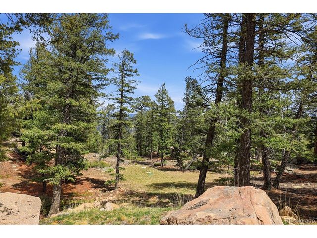 24073 Peak Dr, Conifer, CO 80433