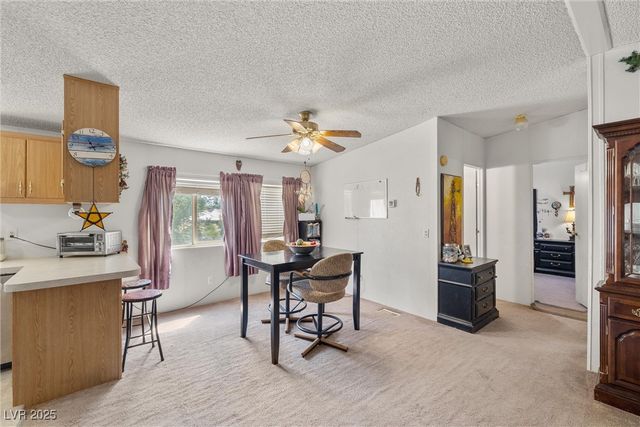 3199 South Records Road, Amargosa Valley, NV 89020