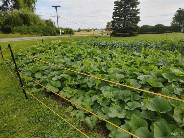 208 River Road, Hammond, NY 13646