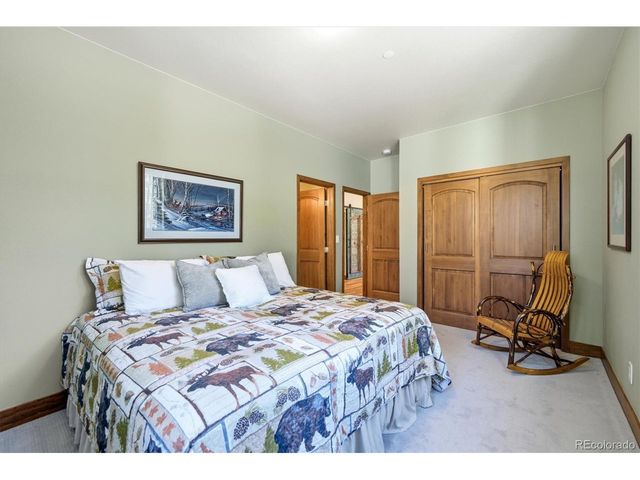 13694 Drake Ct, Pine, CO 80470